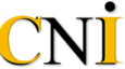 Cameron Nel Inc – Family Attorneys Cape Town